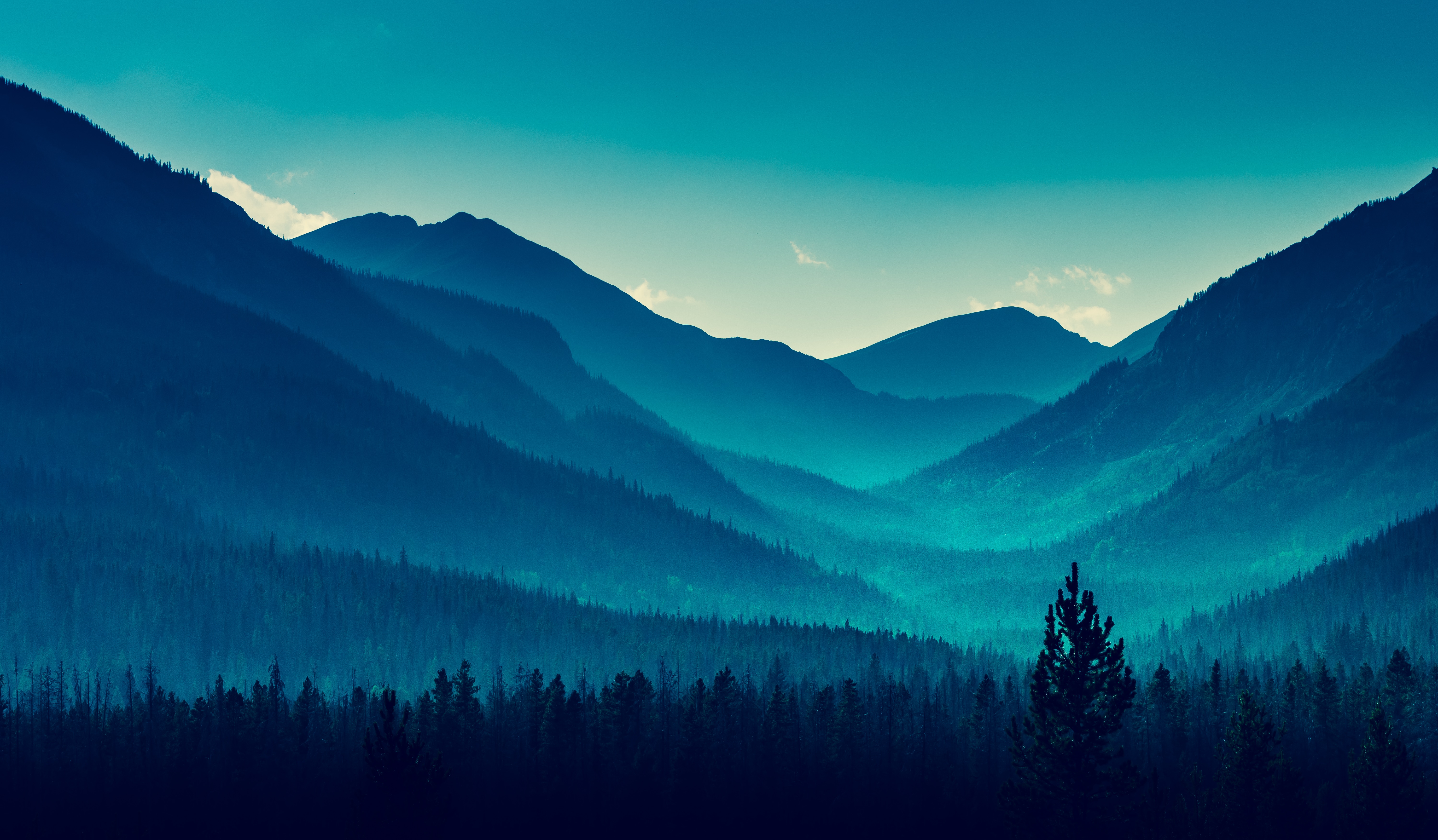 Синие горы и лес